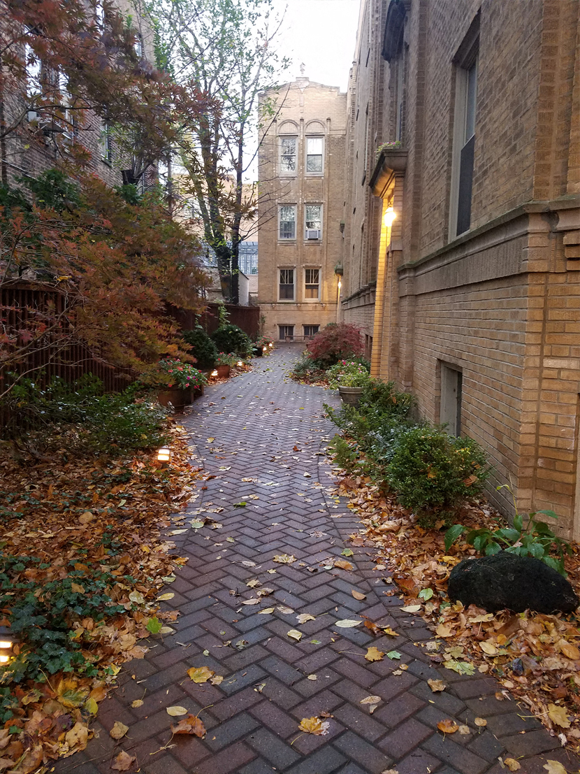 2229 N. Bissell St. Unit 1E 2229 N. Bissell St., Chicago, IL 60614 Lincoln Park - Leasing by Cross Street
